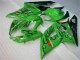 05-06 Vert Suzuki GSXR 1000 Carénage Moto 05-06 Vert Suzuki GSXR 1000 Carénage Moto